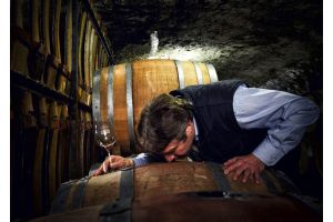 Weingut Künstler