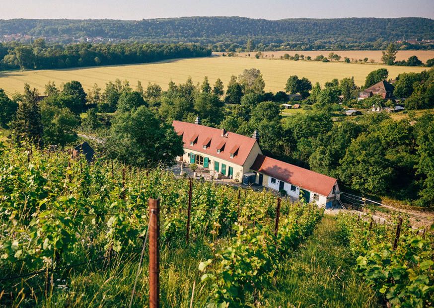 weingut hey gallery image 7