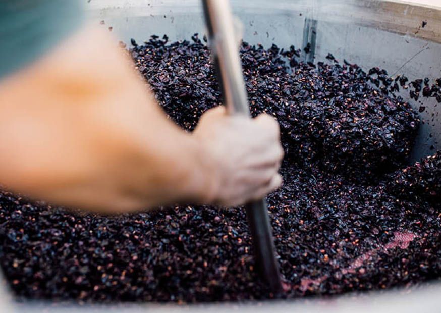 weingut hey gallery image 4