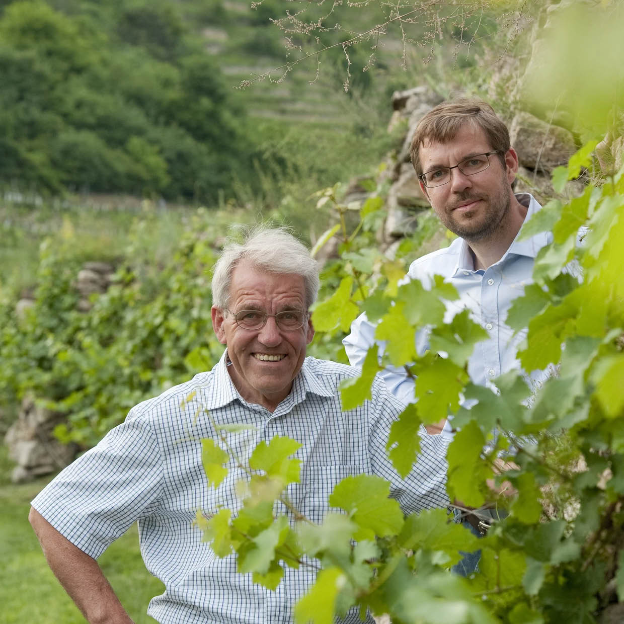 Weingut Knoll