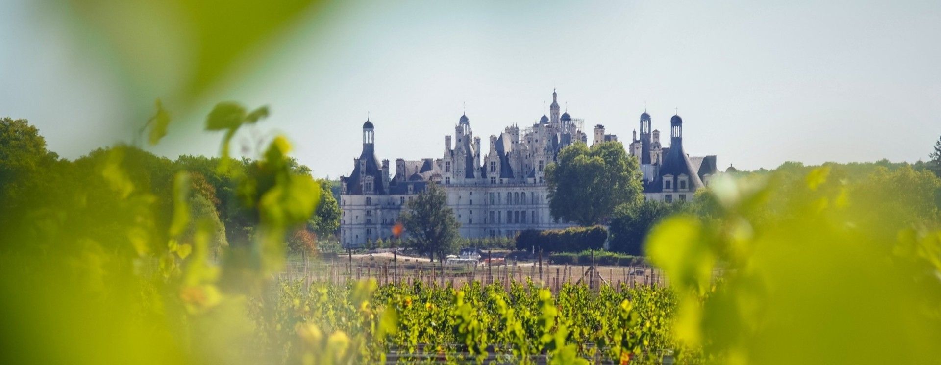 Domaine Sébastien Brunet