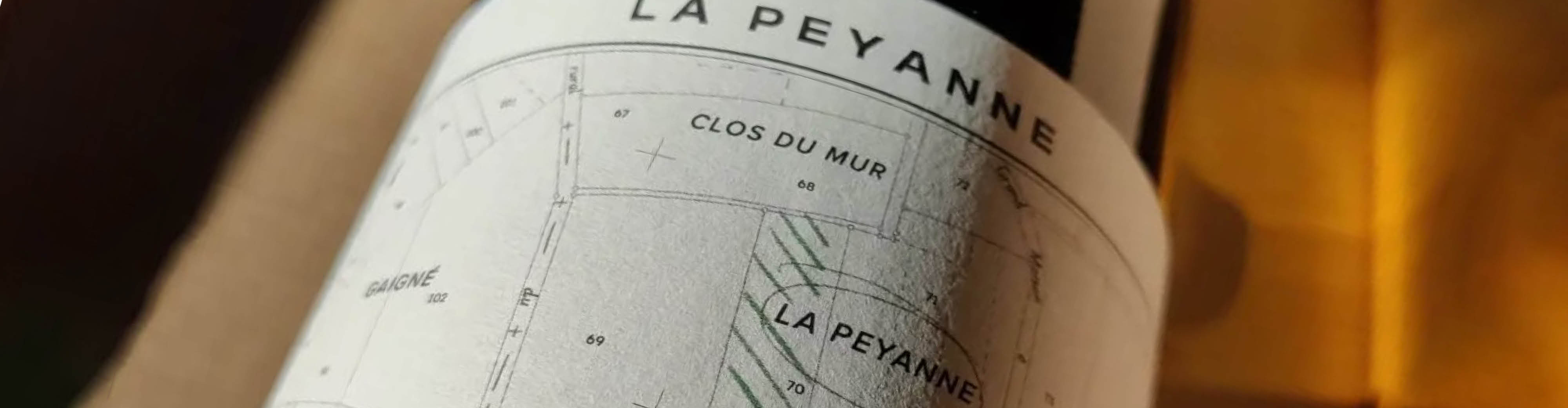 Domaine Théo Blet