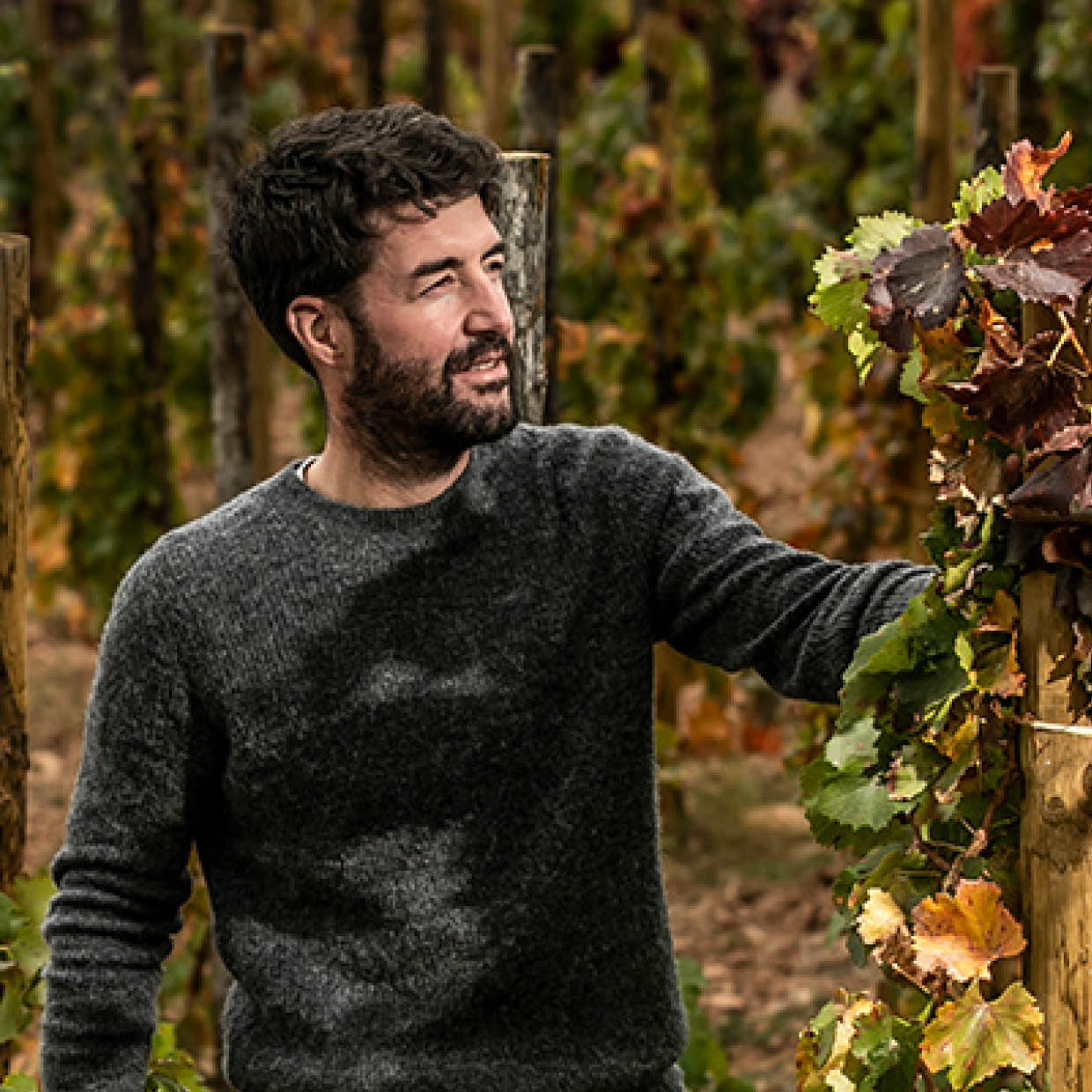 Vinos en Voz Baja