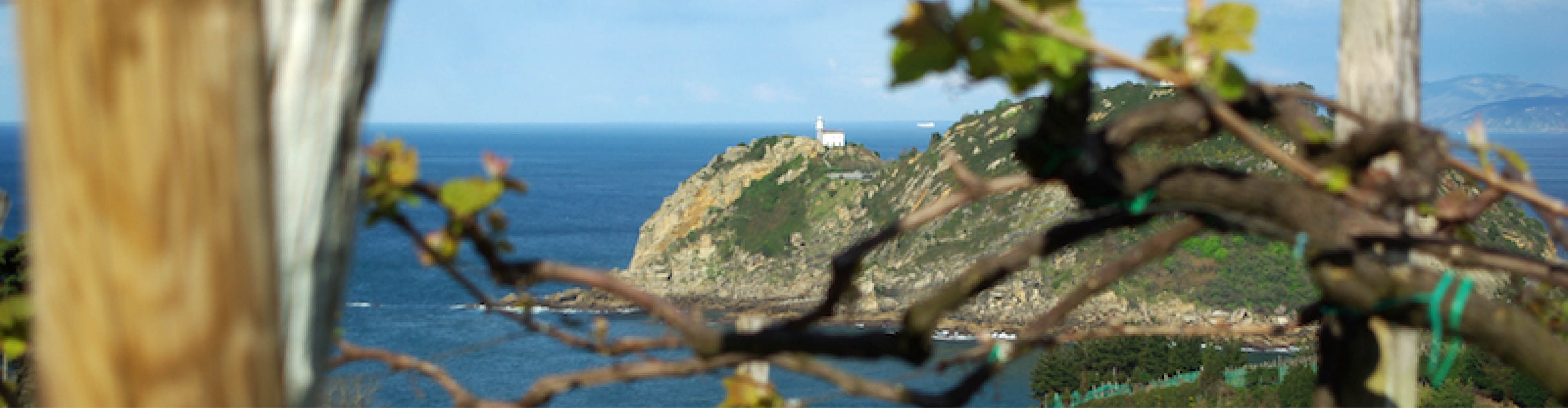 Adur Txakolina
