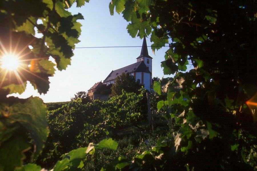 künstler gallery image 1