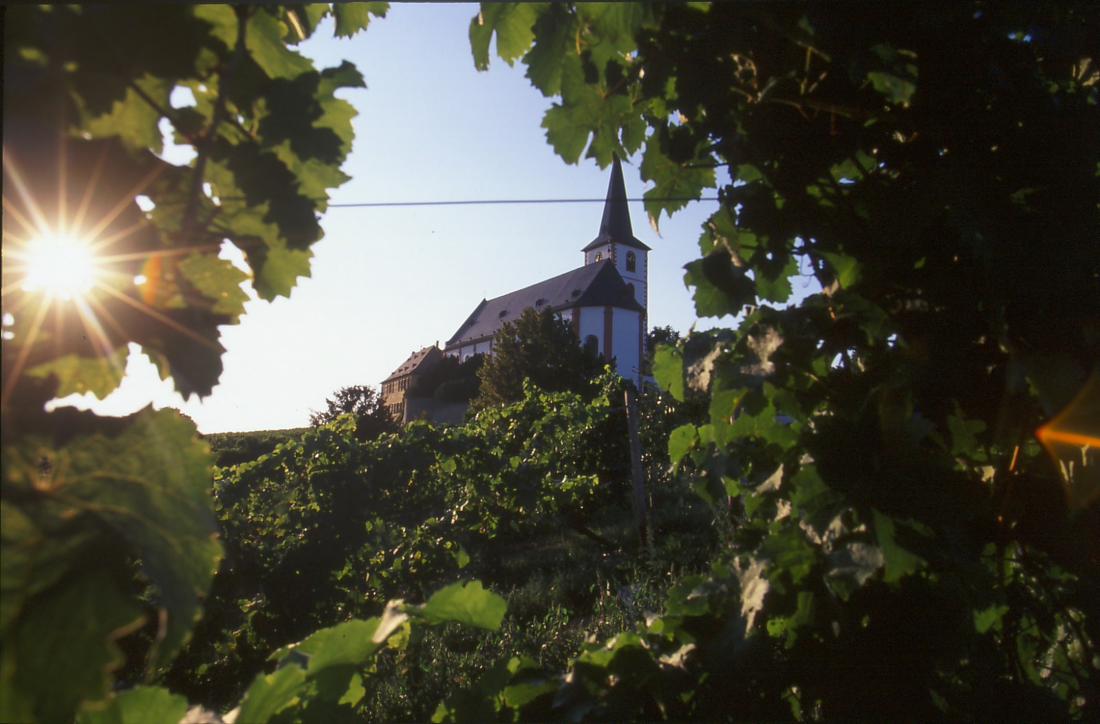 Künstler