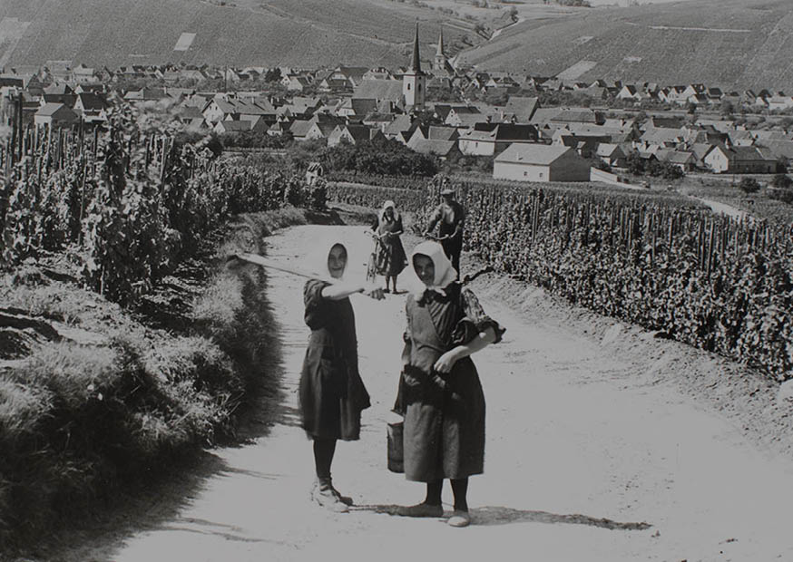Rainer Sauer gallery image 6