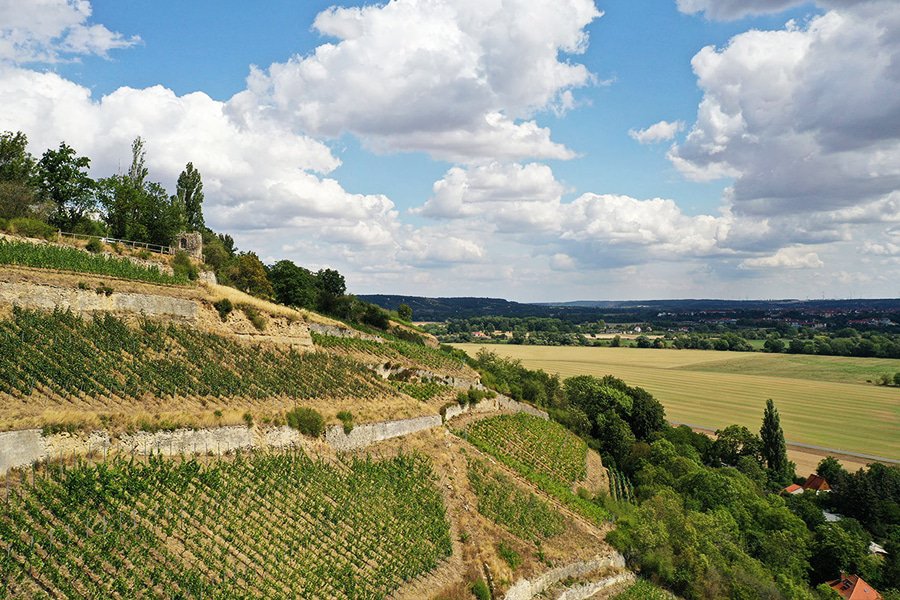 weingut hey gallery image 2
