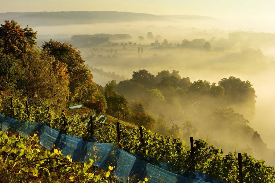 weingut hey gallery image 6