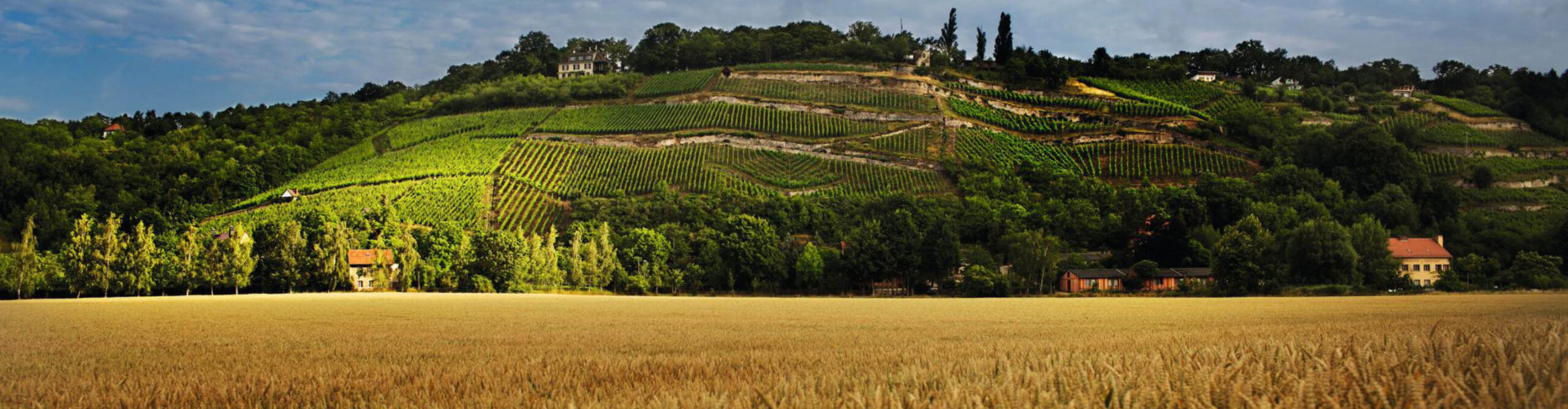 weingut hey