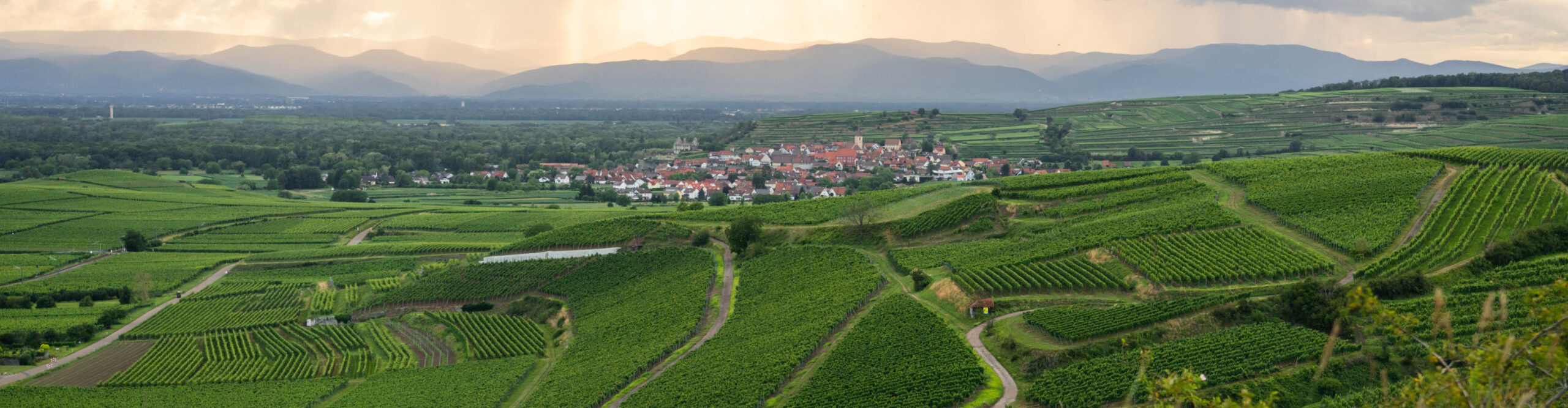 Weingut Peter Wagner