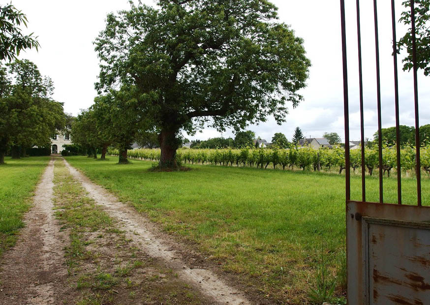 Clos de la Niverdière gallery image 6