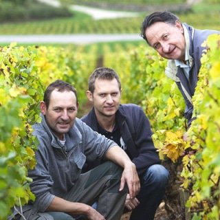 domaine amiot