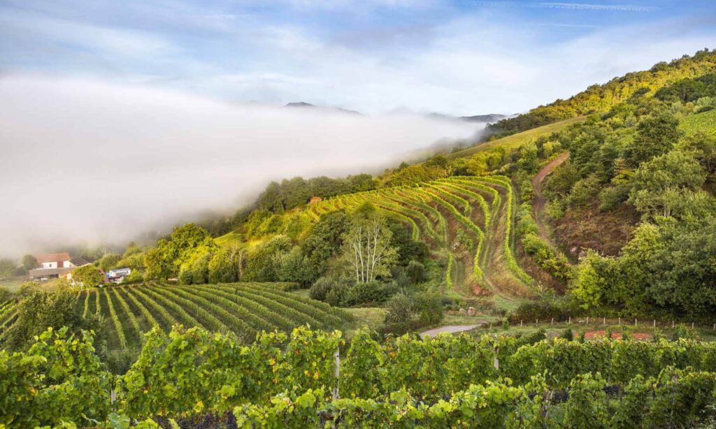 domaine arretxea gallery image 1