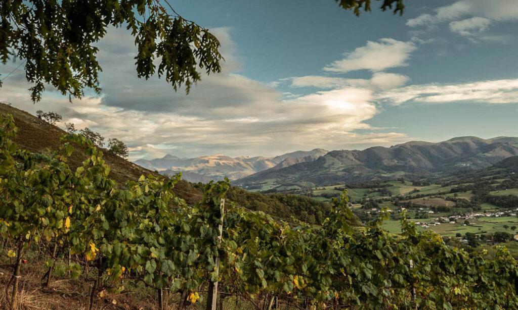 domaine arretxea gallery image 4