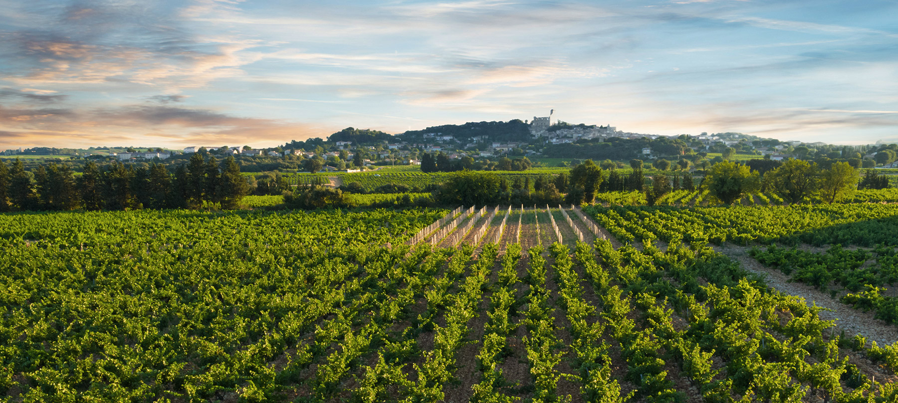 domaine de marcoux