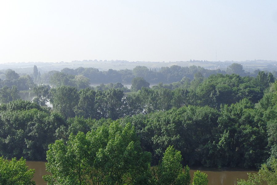 domaine laureau gallery image 4