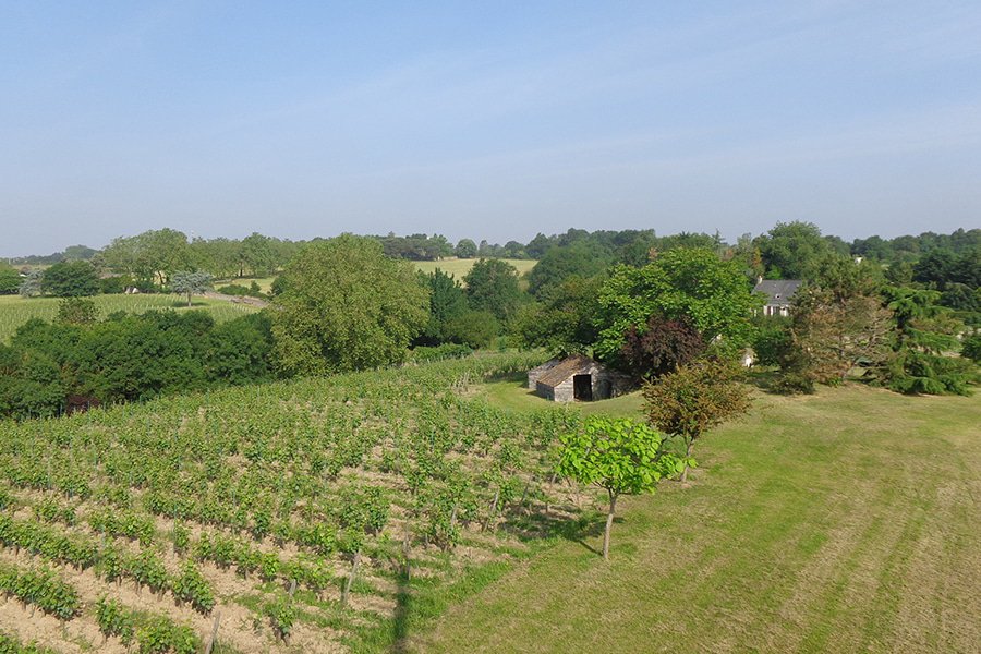 domaine laureau gallery image 5