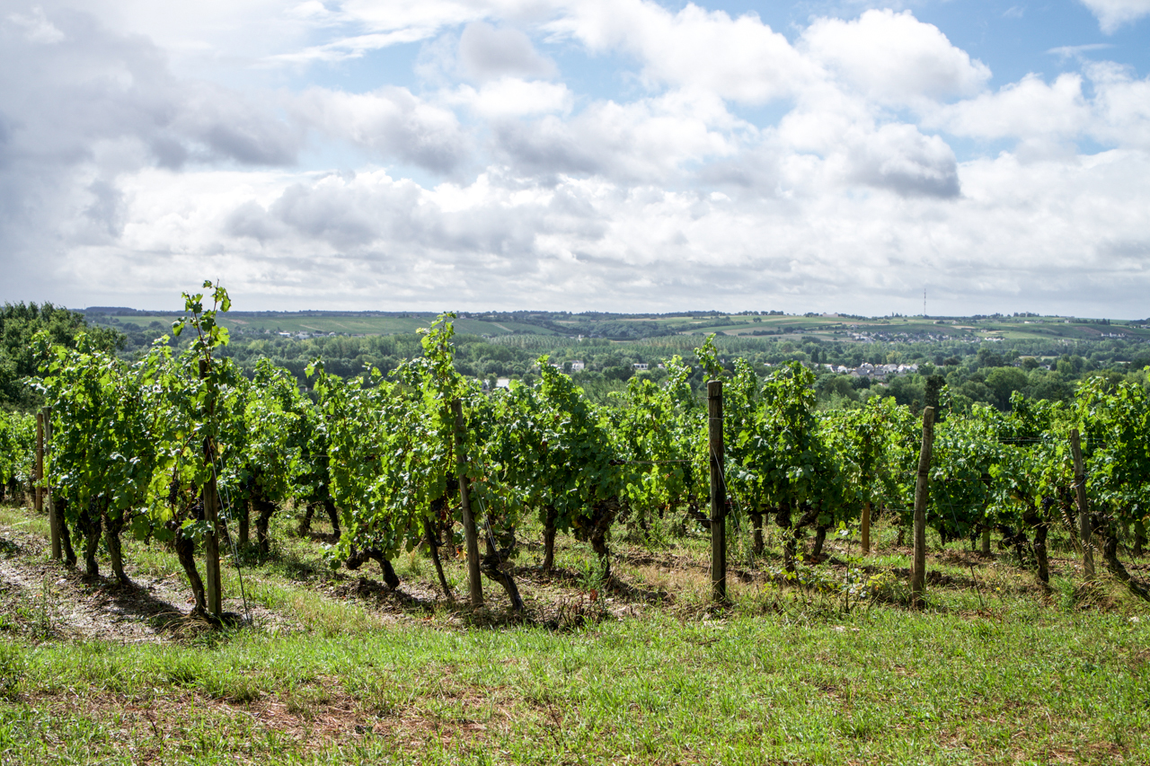 domaine laureau