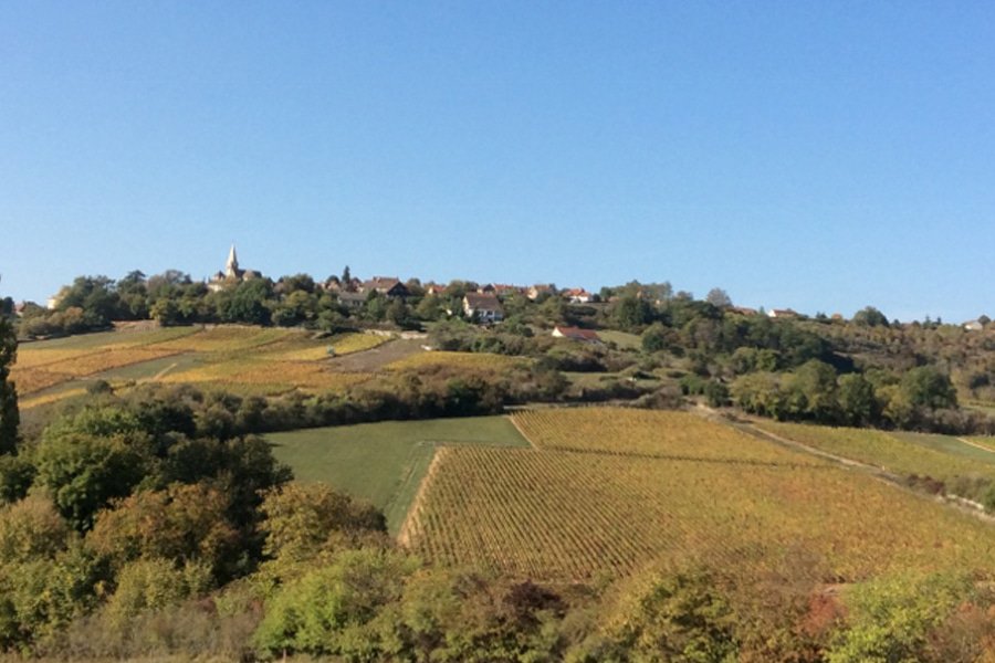 domaine les champs de l'abbaye gallery image 1
