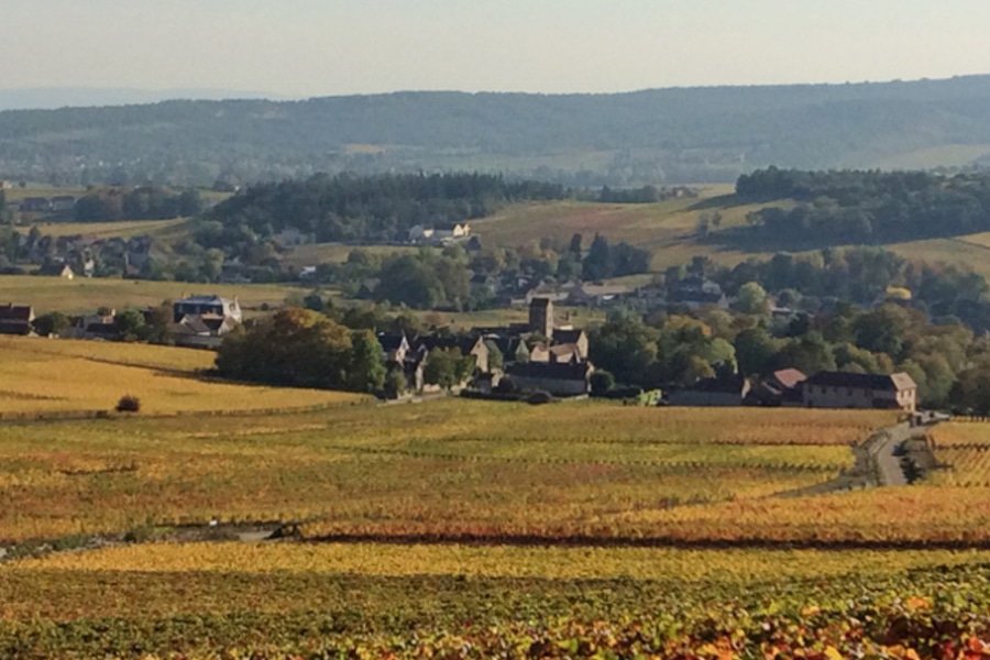 domaine les champs de l'abbaye gallery image 3