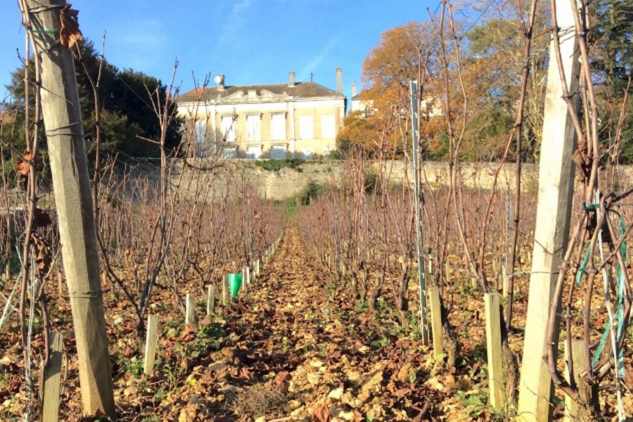 domaine les champs de l'abbaye gallery image 6