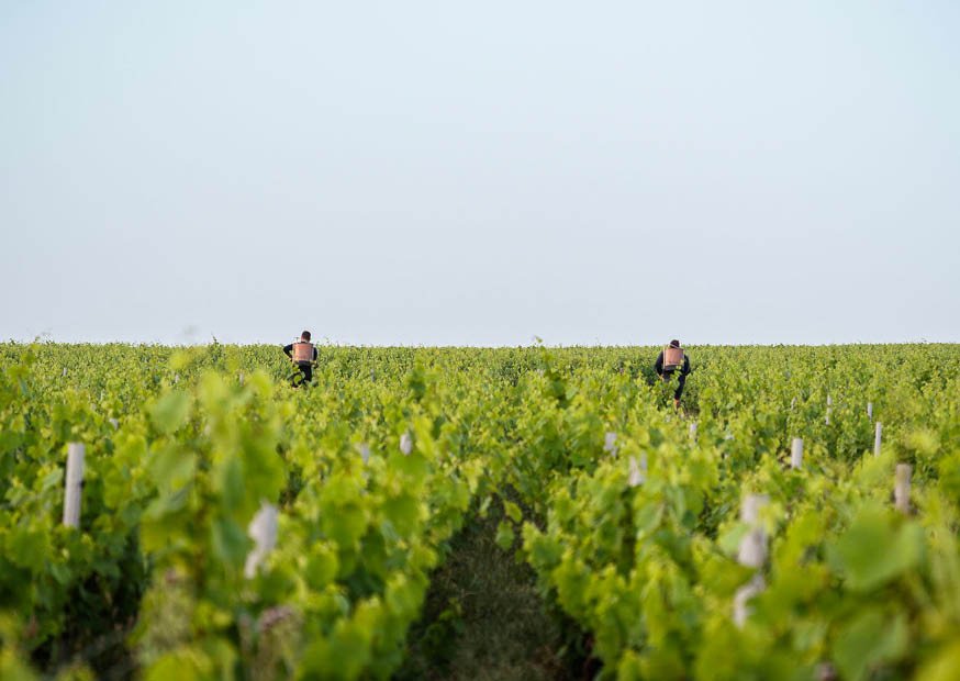 domaine les garçons gallery image 1