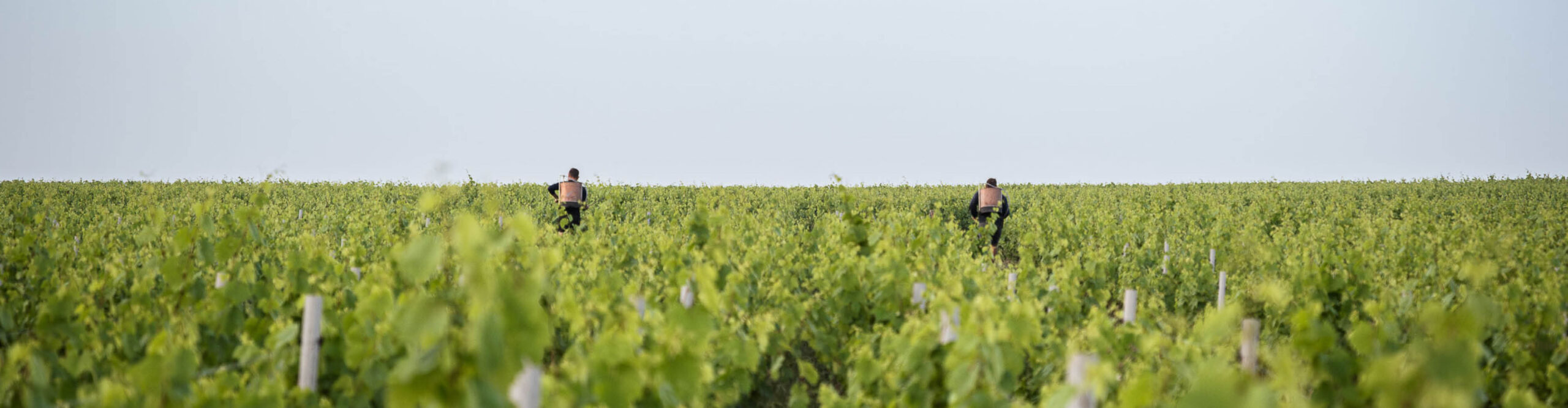 Domaine les Garçons