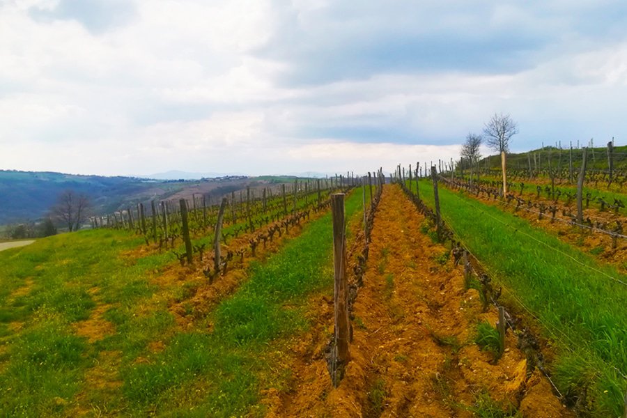 domaine monier-perréol