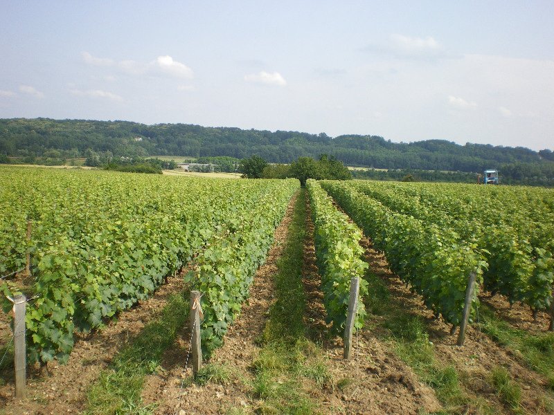 sébastien brunet gallery image 1