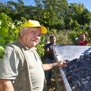 Cantina di Scansano