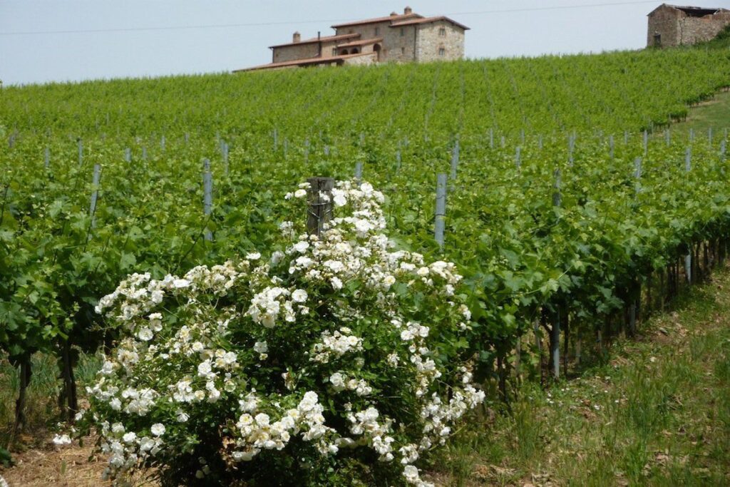 castell in villa gallery image 2