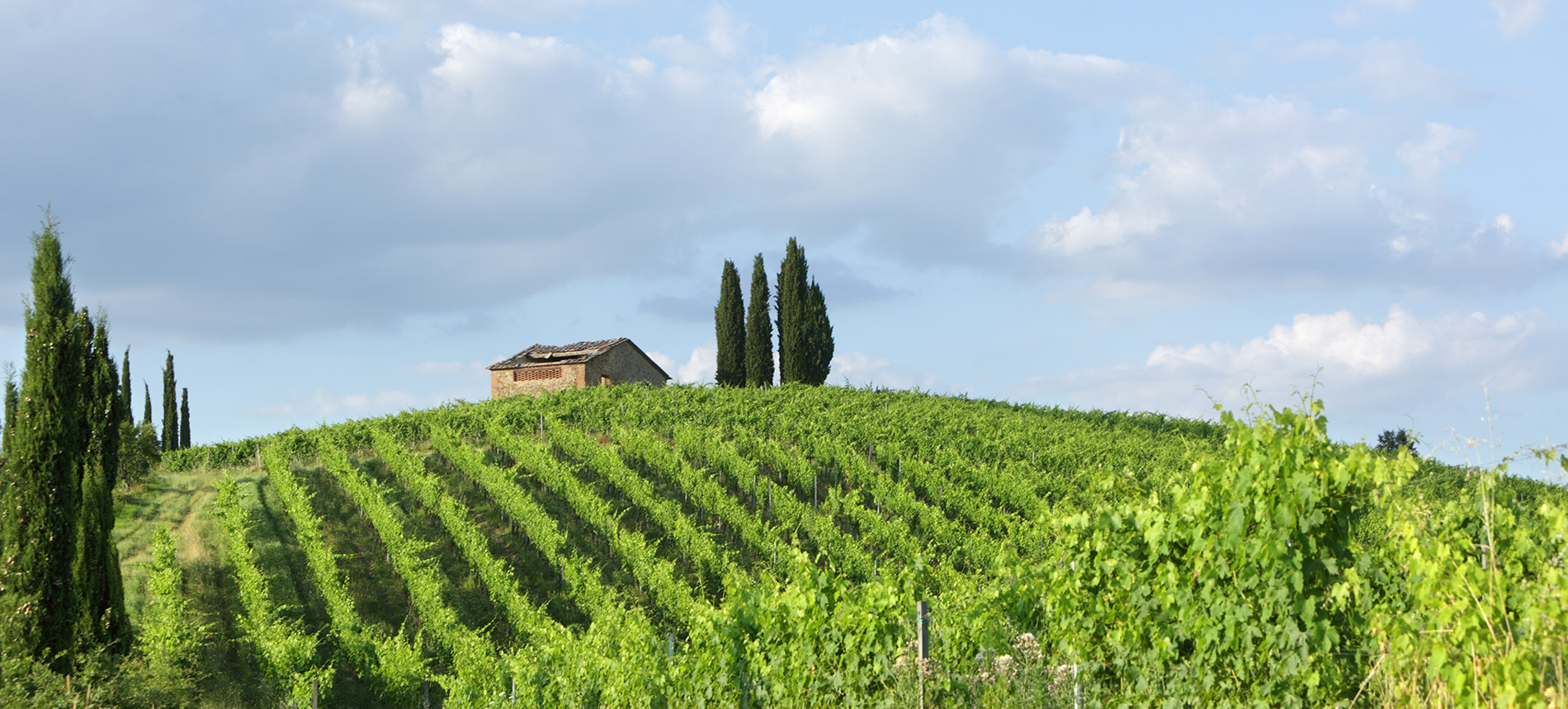 Castell'in Villa