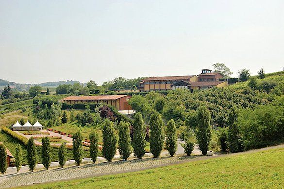 berta gallery image 1