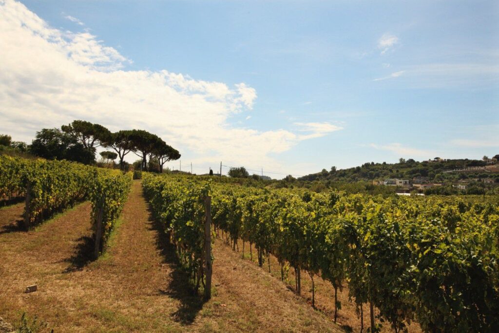 la sibilla gallery image 4