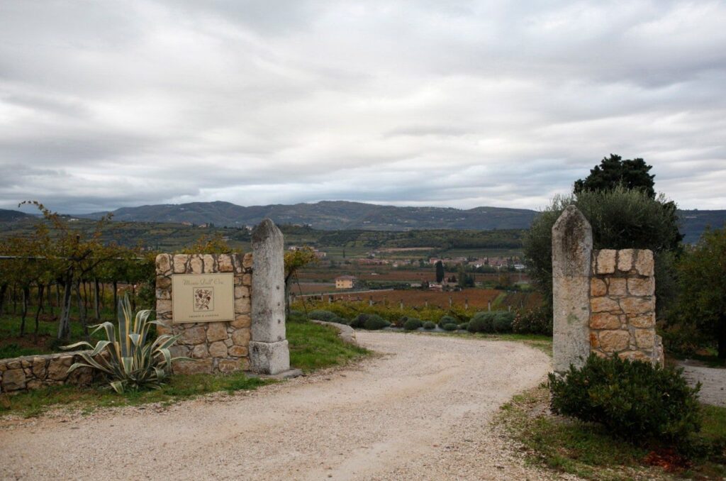 monte dall'ora gallery image 7