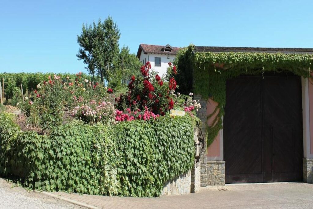 nicola bergaglio gallery image 2