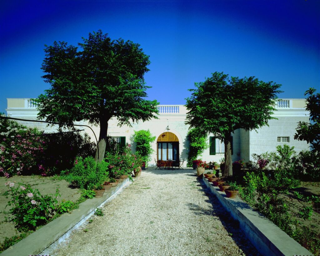 santa lucia gallery image 8