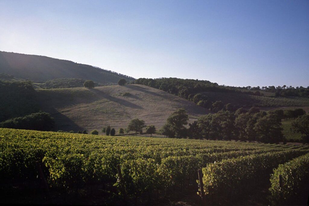 tenuta monteti gallery image 5