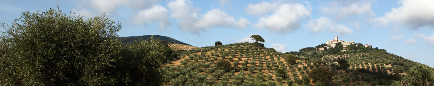 Tenuta Monteti