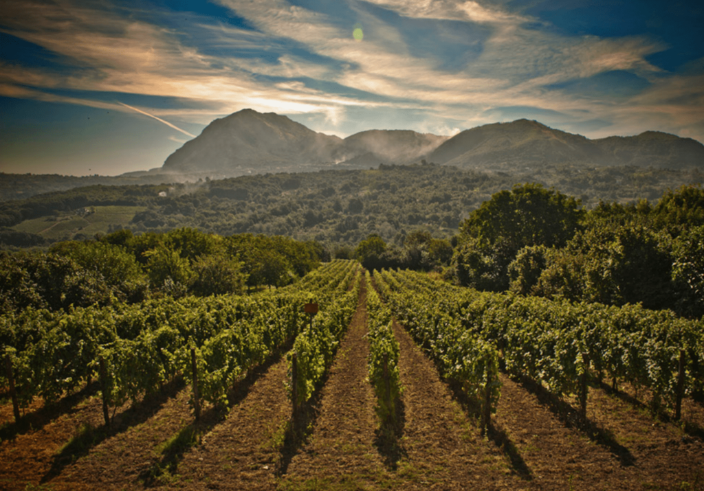 tenuta sarno 1860 gallery image 1