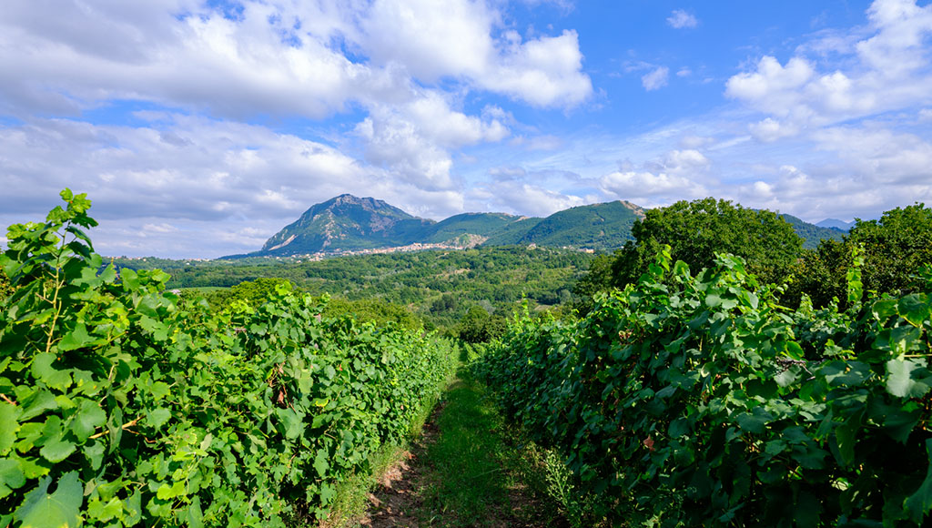 Tenuta Sarno 1860