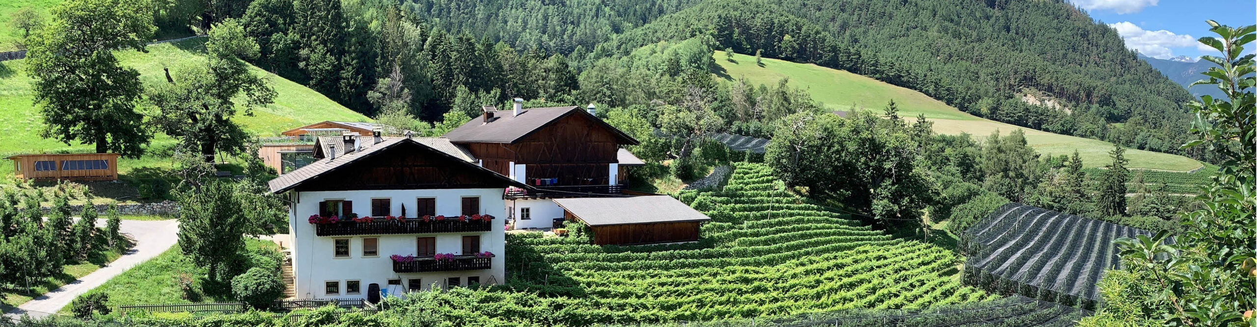 Villscheider