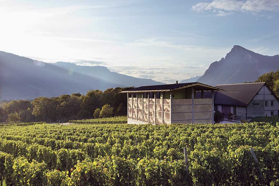 gantenbein gallery image 1