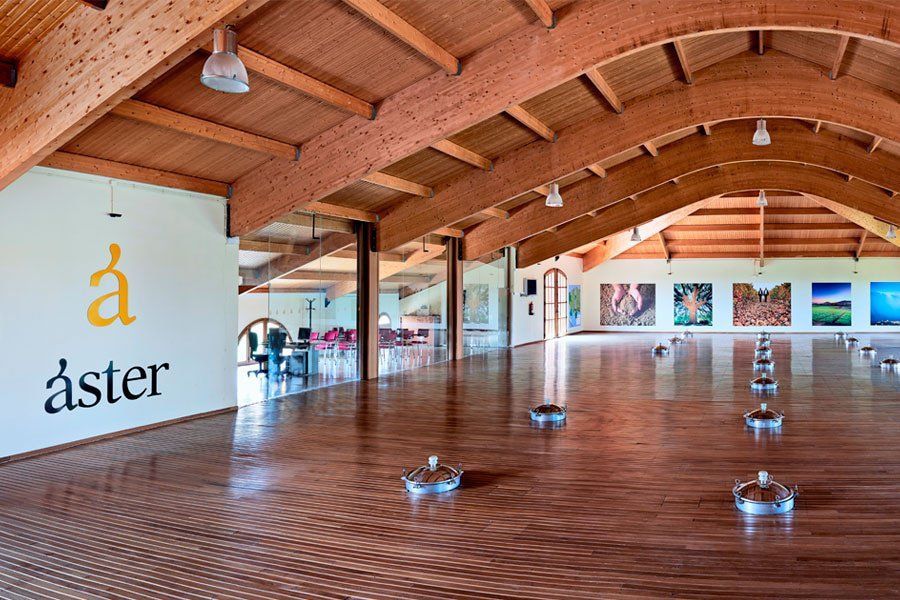áster gallery image 2