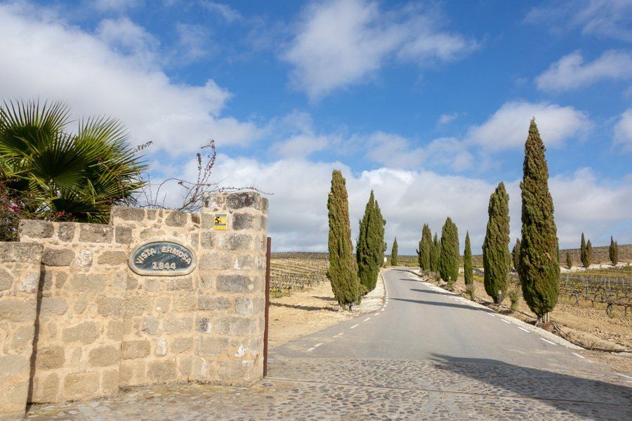 bodegas luis pérez gallery image 4