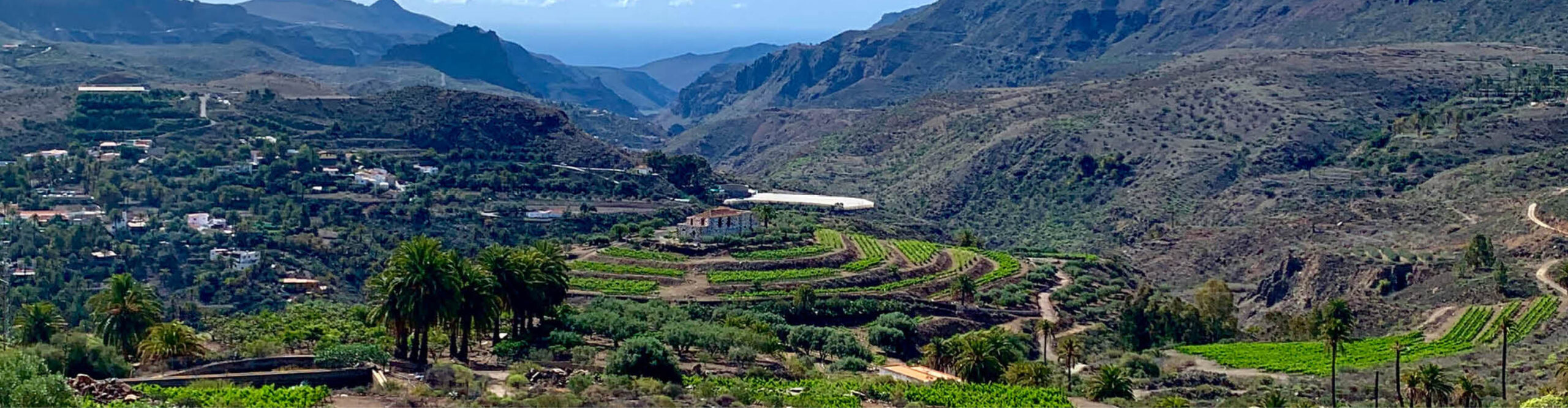 bodegas tamerán