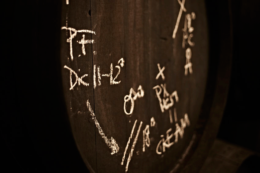 bodegas tradición gallery image 1