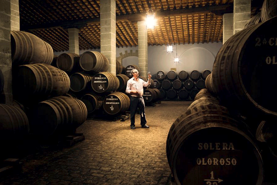 bodegas tradición gallery image 2