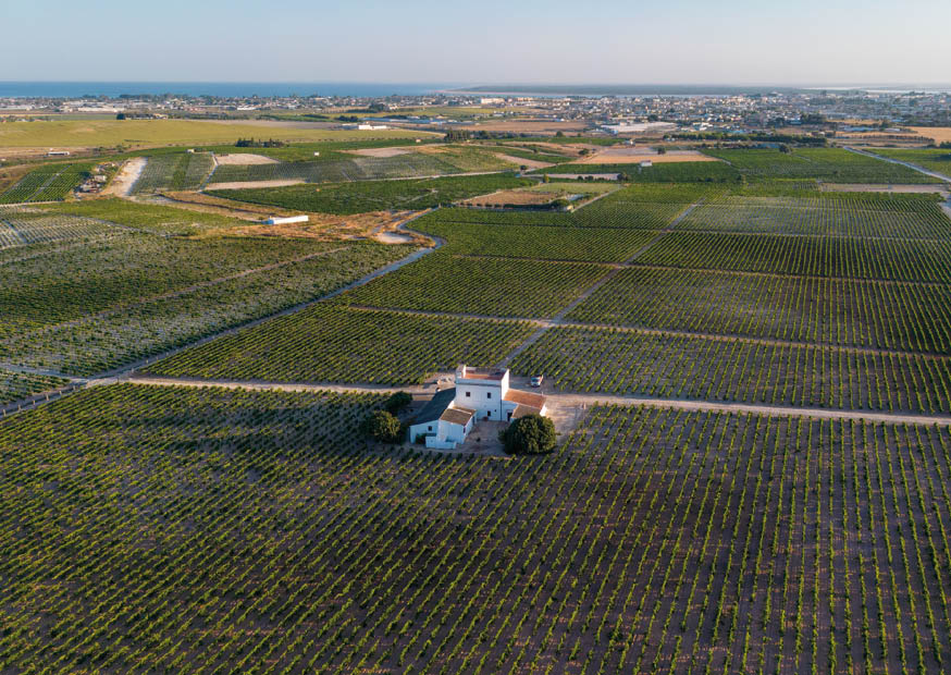 Bodegas De La Riva gallery image 5